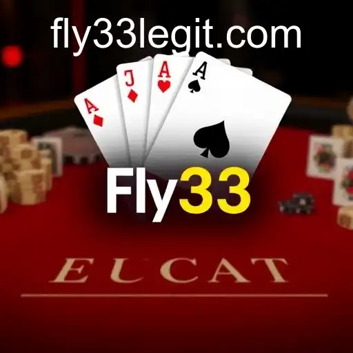 VIP Service Fly33 - 24/7 Support and Exclusive Benefits